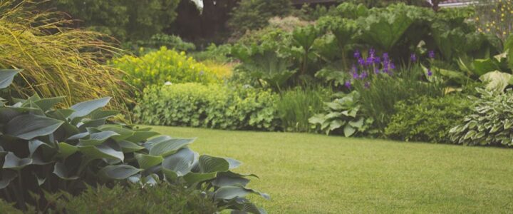 Een verzorgde tuin verhoogt de waarde van de woning